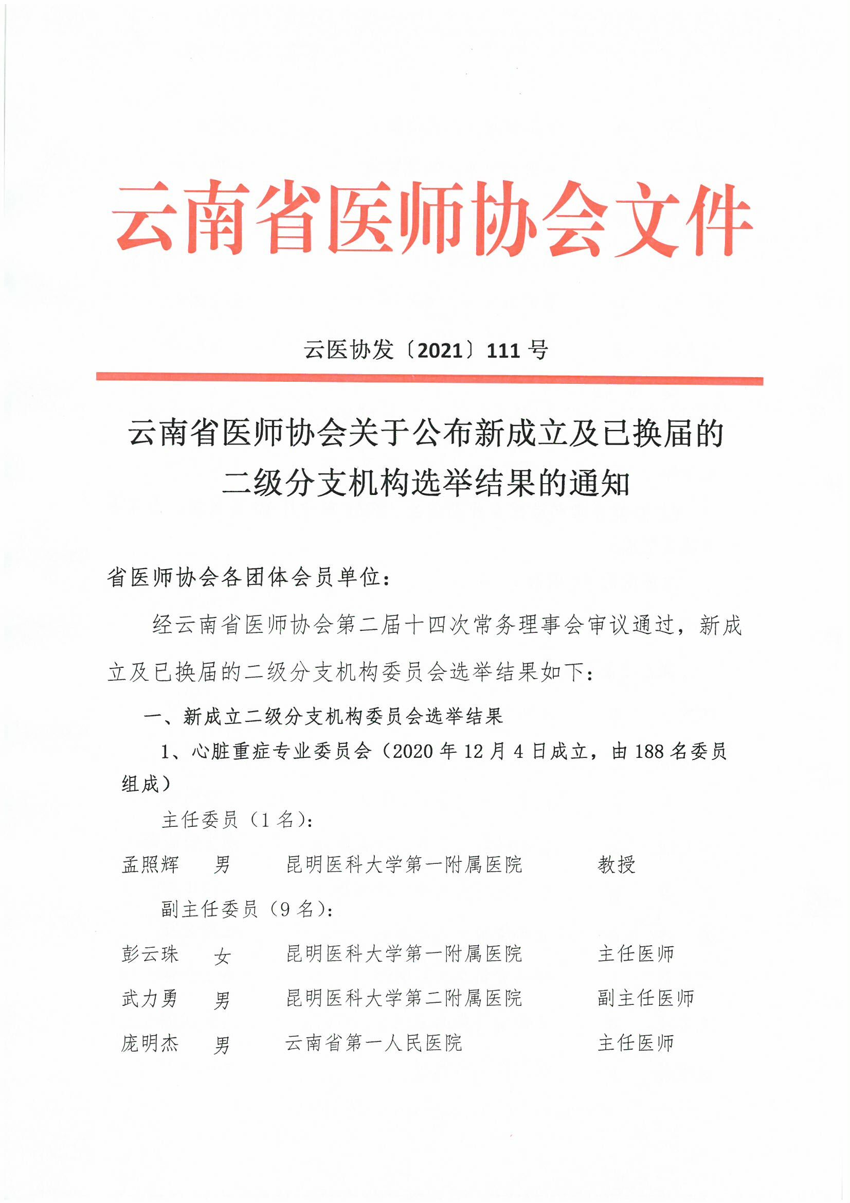 111号红头-云南省医师协会关于公布新成立及已换届的二级分支机构选举结果的通知-00000001.jpg